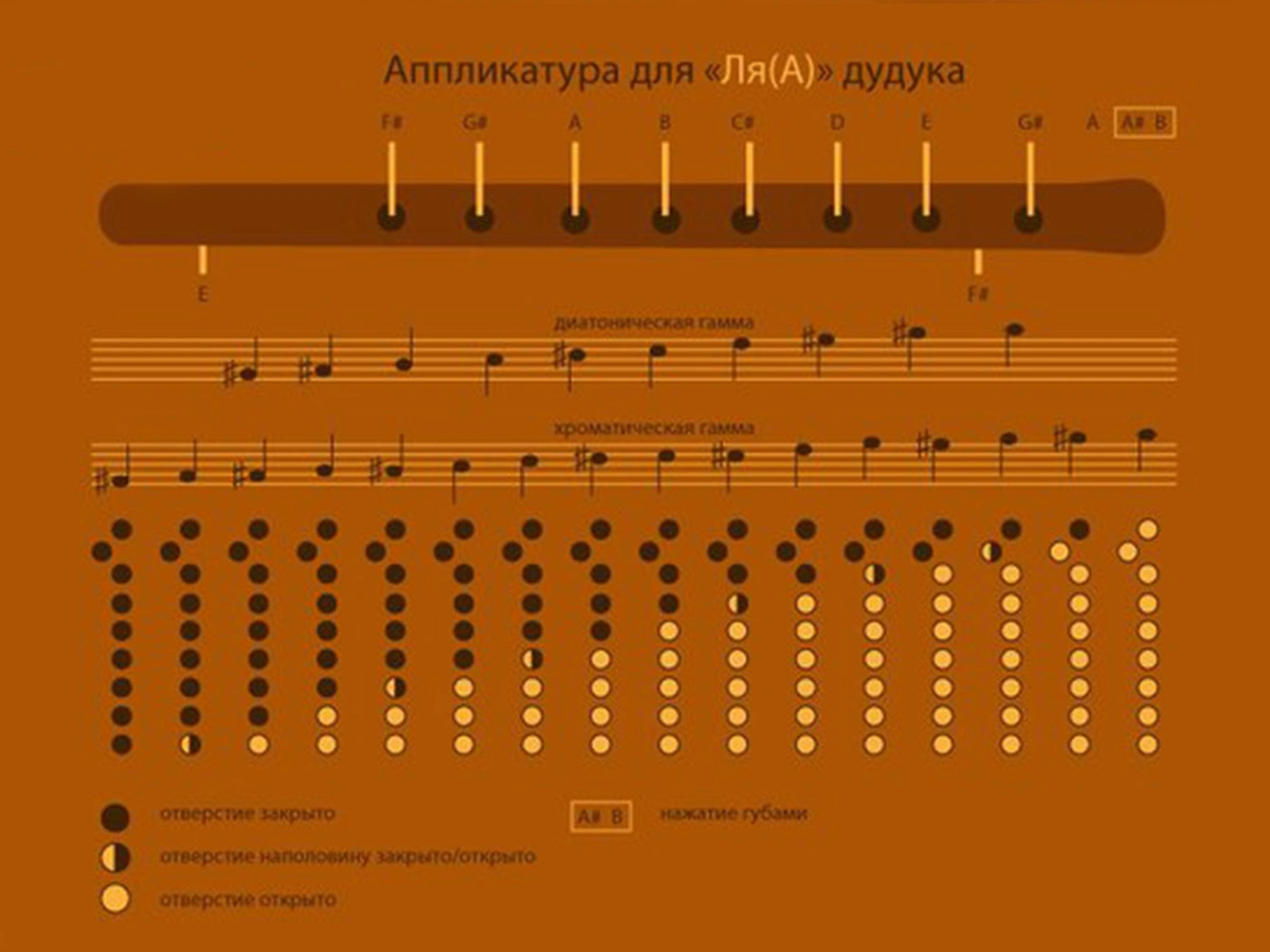 Original Dudukist fingering chart for a duduk in A